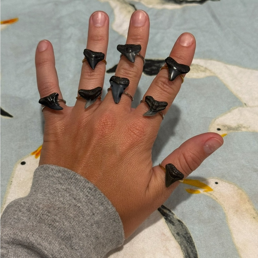Handmade Black Shark Tooth Rings